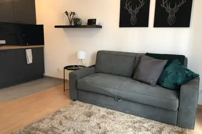 Image de Appartement Mila - appartement entier avec cuisine et terrasse près de la foire