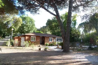 Image de Au calme, au milieu des pins et des lauriers roses près de st Tropez.