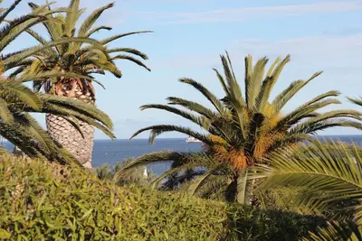 Image de Appart Avec Ascenceur  55 m2 Vue Mer 2 Ch 2\/4 Pers, Logia, Wifi, Garage