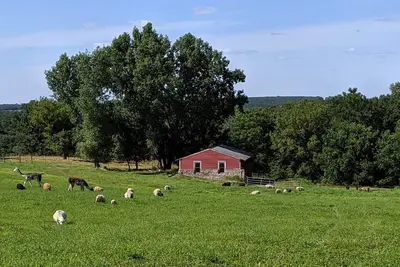 Image de Ferme Schmidt: une expérience de ferme interactive