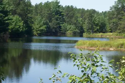 Image de Tall Pines Lodge (chalets sur le lac de sérénité) assis 80 hectares de la faune!