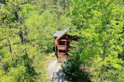 Image de Bear Hearts: proche de tout, pourtant on se sent comme si on était loin de tout