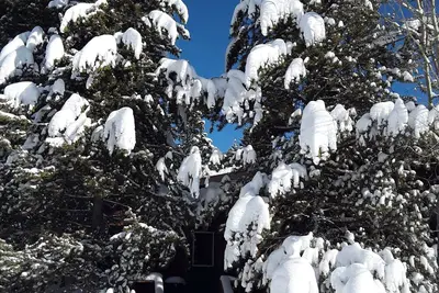 Image de Cabine spacieuse en ville, terrasse / grill, buanderie privée, promenade jusqu'aux magasins, blocs à Ynp
