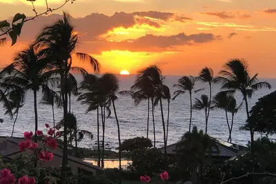 Image de Vues, vues, vues! - Le luxe au paradis