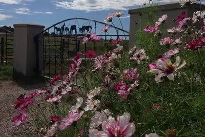 Image de Cottage romantique vieux de 100 ans, entièrement mis à jour dans une ferme équestre rurale