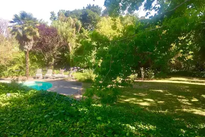 Image de Immense jardin à Marin, idéal pour les retraites ou les réunions de famille - 16 personnes