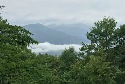 Image de Wildflower Cove - Vues sur la montagne, près d'Asheville et de Black Mountain