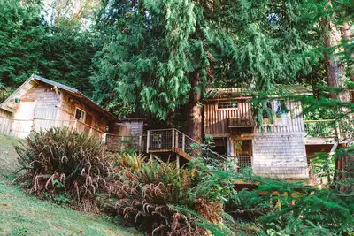 Image de Cabane dans les arbres au bord de la plage au cœur de Puget Sound