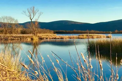 Image de Un des meilleurs que vous trouverez! Peace & Quiet - Confort et Charme;