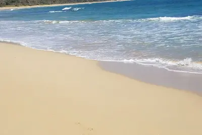 Image de Brand New Charming Ocean Front / Beach Front / Cottage