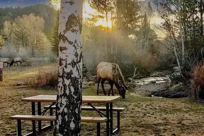 Image de Estes Park 2b Luxury Condo sur Fall River. Mtn. Vues-Wifi-Hdtv - Vues sur la rivière
