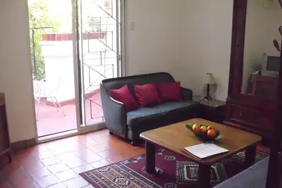 Image de Appartement Lumineux Palermo Soho Avec Terrasse