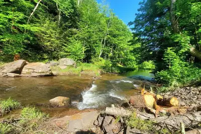 Image de Près des pistes de ski à Windham et Hunter, tyrolienne, randonnée, lacs, plus de 20 restaurants
