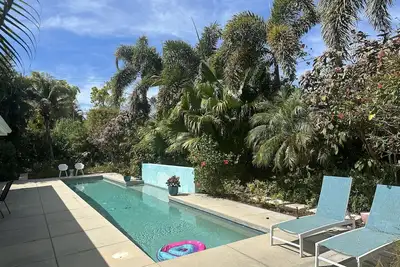Image de Mid-Century Moderne W / Private Lap Pool Dans jardin isolé et studio d'art