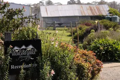 Image de Highland Lodge Farmstay