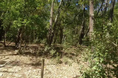 Image de Cabane forestière tout confort pour 8 pers