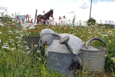 Image de The key to the Fields 2 \"near Saint Malo\"