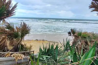 Image de Spécial Fall & Bike Week! Oceanfront Bungalow (paradis parfait pour les Snowbirds)