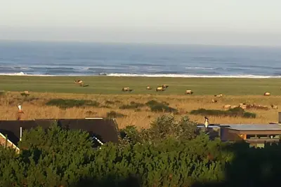 Image de Vues imprenables sur l'océan depuis la maison Gearhart dans les Highlands
