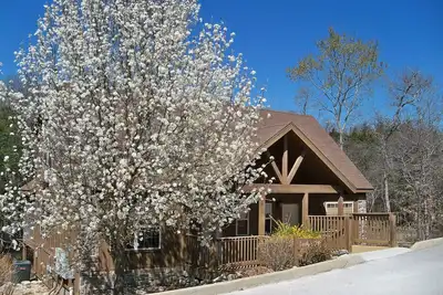 Image de \"Woodland Romance\" 1Br Cabin, Animaux domestiques, Pêche, Golf, Piscine intérieure, Terrain de jeu, Fun!