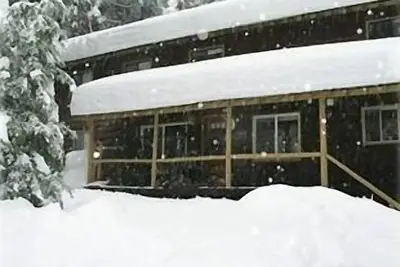 Image de Belle cabine dans les grands arbres