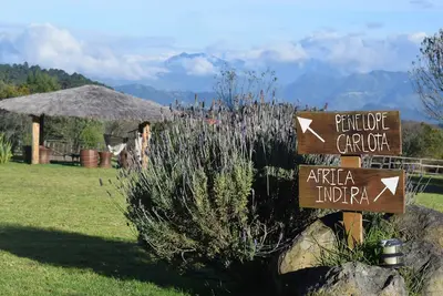 Image de Casa Kitsch, un paraĂso en la Sierra de Puebla