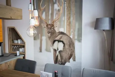 Image de Hochkönig - MandlWand Lodge