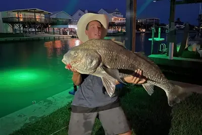 Image de Déposez votre ligne de pêche dans la baie! Accès facile à la plage!