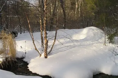 Image de RÉDUCTION De Nouvel An! Bois et fenêtres 'Berkshire Hideaway Home