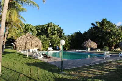 Image de Villa au bord de la mer dans un jardin de palmiers tropicaux avec piscine privée Tv Bundesliga 1\/2