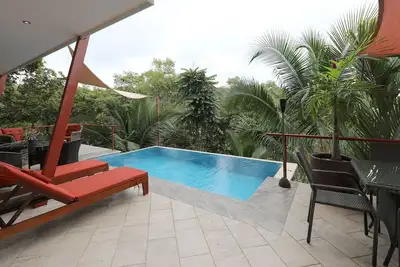 Image de Vue sur la canopée de la retraite privée de la forêt tropicale des singes et des aras écarlates