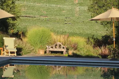 Image de Ferme viticole avec piscine chauffée. Vin préféré: Bar None's Canyon Old Vine Zin