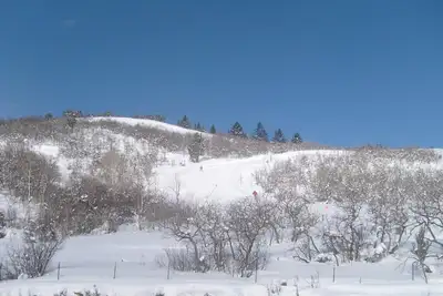 Image de Hyatt Centric-Park City - Directement sur Ski de montagne In / Out