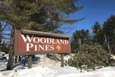 Image de Brand New Woodland Pines Maison de ville, NConway \/ Bartlett, 4 Bdr, Sleeps13 +, 8 + lits