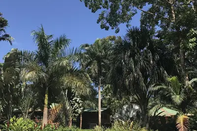 Image de Las Casas Costa Rica Une retraite de luxe dans la jungle des CaraĂŻbes