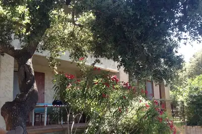 Image de Presqu'île Giens - Rez de Jardin de maison 85m2 - domaine privé calme et arboré