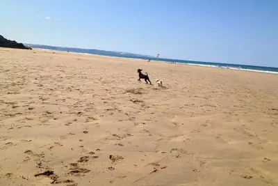 Image de Paisible, luxe, allergie et chalet de vacances sans fumée dans une zone rurale, les chiens sont les bienvenus