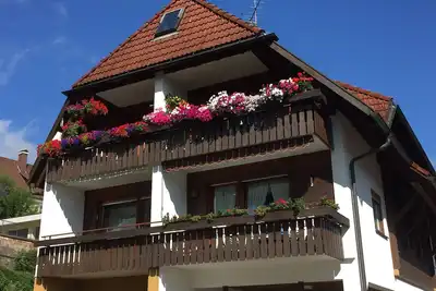 Image de Lenzkirch - appartement très confortable - balcon orienté sud - au centre dans une rue calme