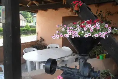 Image de Gite Au Jardin De Mon Enfance 4 personnes Vallée de Munster