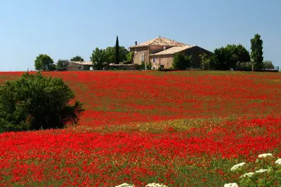 Image de Bastide de charme avec piscine