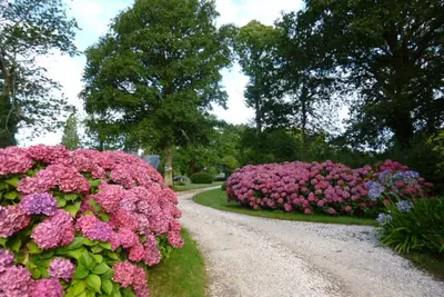 Image de Garden Floor class 3* in park. Seaside. . . . . . . 2 pers