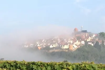 Image de Apartment in fantastic location with view to the wineyards and the forrest