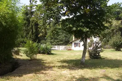 Image de Maison rustique avec piscine au coeur de la campagne landaise