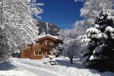 Image de Chalet en rondins, 6 personnes, Belle vue sur le Mont Blanc avec grande terrasse