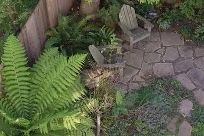Image de Quiet Garden Studio environs de Golden Gate Park