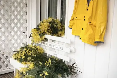 Image de Appartement Avec Jardin sur la presqu'ile du Cap Ferret