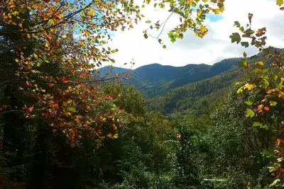 Image de 3bd / 3ba Magnificent Views of Balsam Mountain