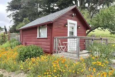 Image de Cozy Studio Cottage On West Marin Organic Cattle Ranch