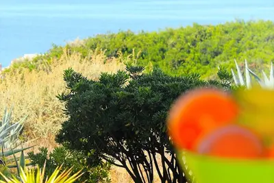 Image de Magnifique appartement avec vue sur la mer à pied de la plage