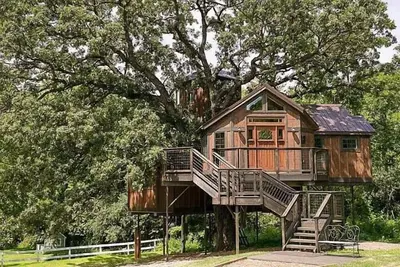 Image de Cabane dans les arbres Cabane dans les arbres Mansion Lofty Lodge